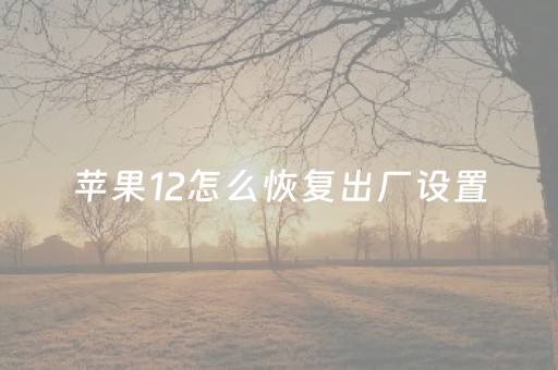 苹果12怎么恢复出厂设置（苹果12怎么恢复出厂设置后无法激活）