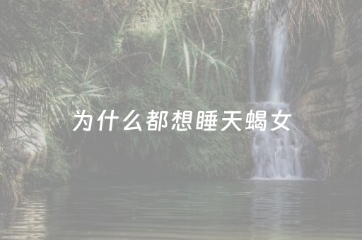 为什么都想睡天蝎女（为什么都喜欢天蝎）
