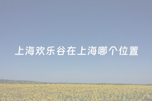 上海欢乐谷在上海哪个位置（上海欢乐谷位置叫什么地方）