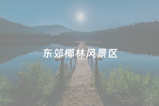 东郊椰林风景区（东郊椰林风景区门票价格石头公园）