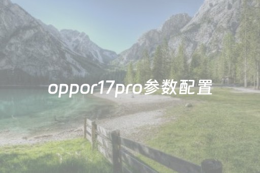 oppor17pro参数配置（oppor17por手机参数）