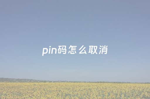 pin码怎么取消（开机pin码怎么取消）