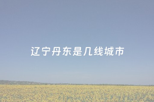 辽宁丹东是几线城市（辽宁丹东是几线城市
）