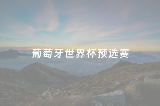 葡萄牙世界杯预选赛（葡萄牙世界杯预选赛阵容）