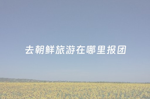 去朝鲜旅游在哪里报团（去朝鲜旅游在哪里报团合适）