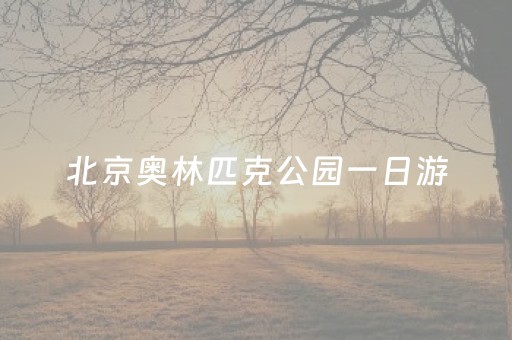 北京奥林匹克公园一日游（北京奥林匹克公园的景点）