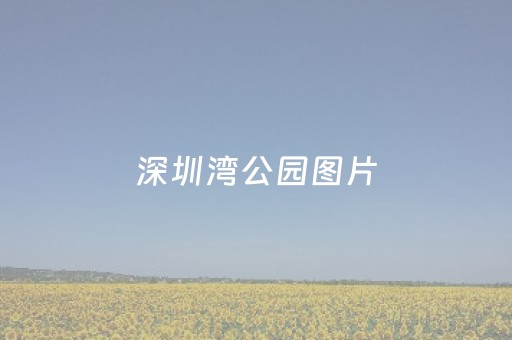 深圳湾公园图片（深圳湾公园图片夜景）