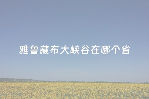 雅鲁藏布大峡谷在哪个省（雅鲁藏布大峡谷位于）