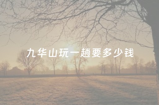 九华山玩一趟要多少钱（九华山玩一趟要多少钱费用）