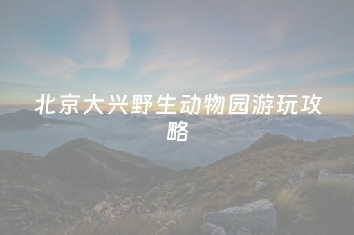 北京大兴野生动物园游玩攻略（北京大兴野生动物园游玩攻略
大全）
