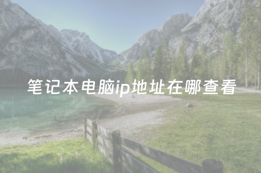 笔记本电脑ip地址在哪查看（电脑的ip在哪里看）