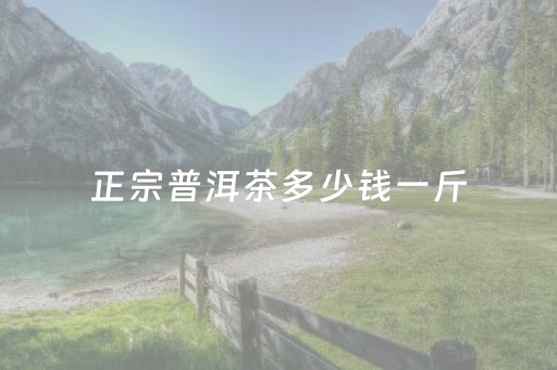 正宗普洱茶多少钱一斤（二十年普洱茶饼价格表）