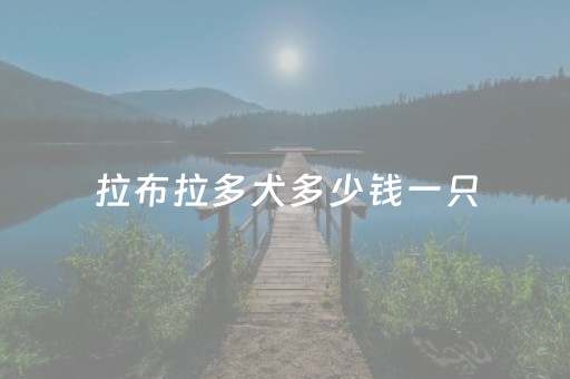 拉布拉多犬多少钱一只（黑色拉布拉多犬多少钱一只）