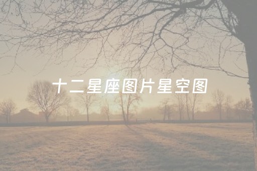十二星座图片星空图（十二星座图片全部）