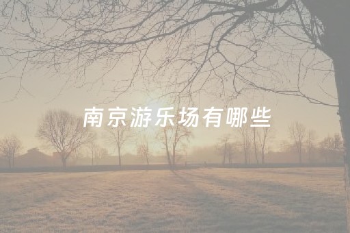 南京游乐场有哪些（南京游乐场排名）