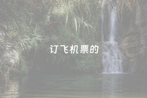 订飞机票的（订飞机票的官网
）