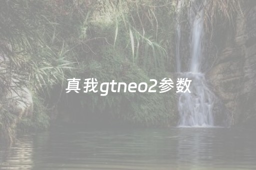 真我gtneo2参数（真我gtneo2参数价格）