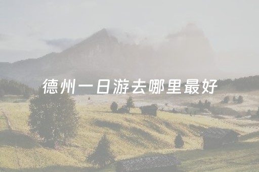 德州一日游去哪里最好（德州一日游景点推荐）