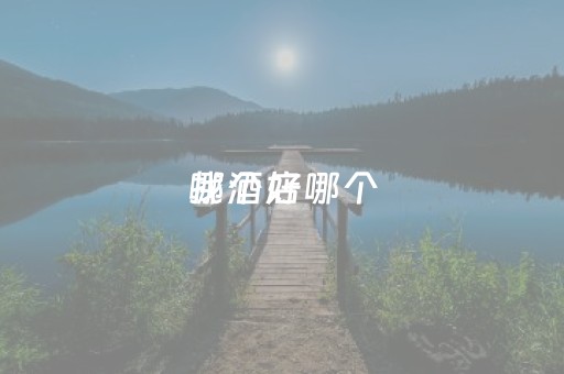 找酒店哪个
哪个好（找酒店的
）