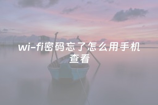 wi-fi密码忘了怎么用手机查看（wifi密码忘了怎么用手机查看vivo）