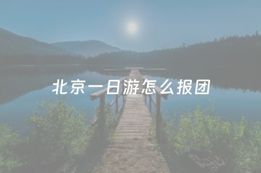 北京一日游怎么报团（北京一日游最佳方案）