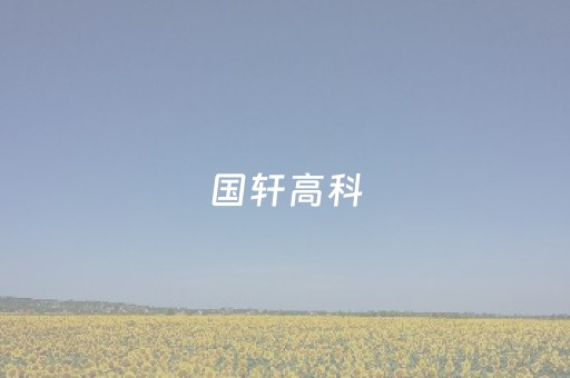 国轩高科（国轩高科三元锂电池怎么样）