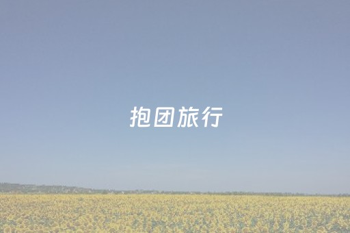 抱团旅行（抱团旅行和自由行哪个好）