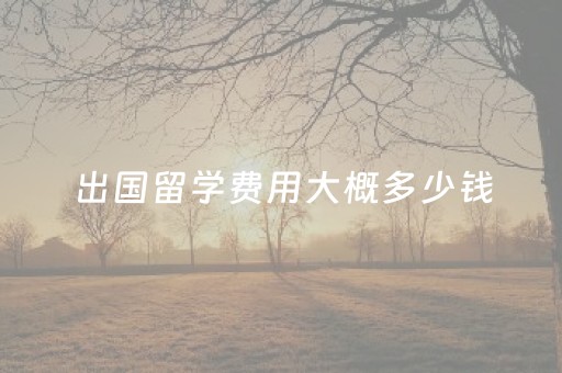 出国留学费用大概多少钱（出国留学费用大概多少钱啊）