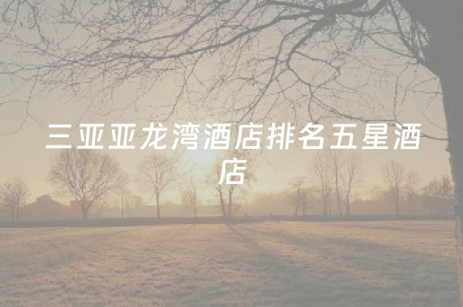 三亚亚龙湾酒店排名五星酒店（三亚亚龙湾五星级酒店排行）