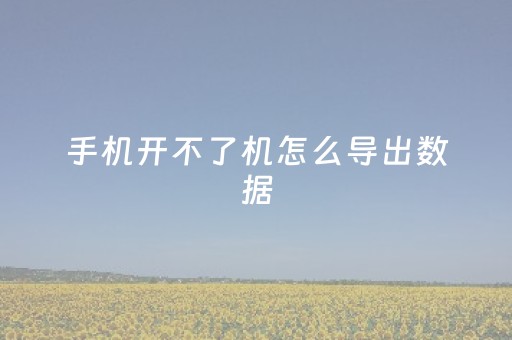 手机开不了机怎么导出数据（华为手机开不了机怎么导出数据）