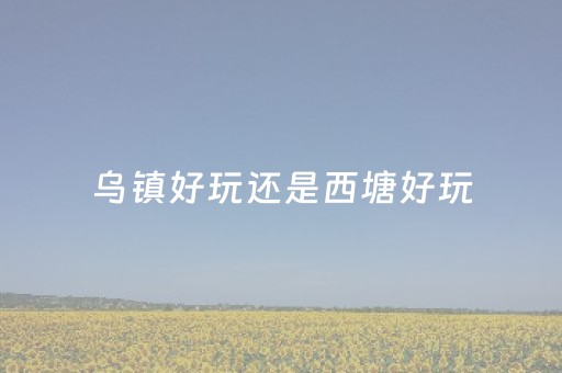 乌镇好玩还是西塘好玩（乌镇与西塘哪个好玩）