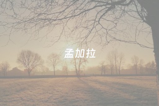 孟加拉（孟加拉国）