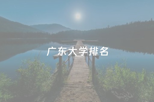 广东大学排名（大学排名）