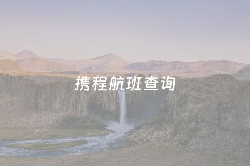携程航班查询（携程航班查询官网）
