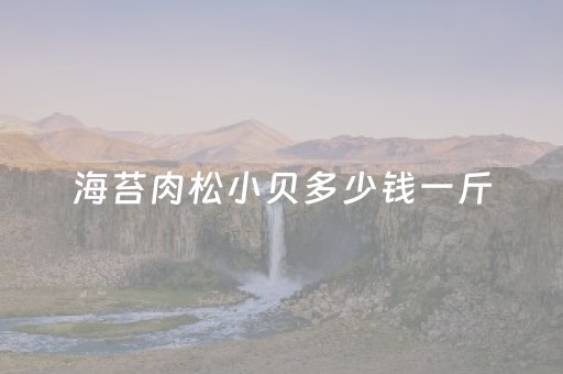 海苔肉松小贝多少钱一斤（海苔肉松小贝口感描述）