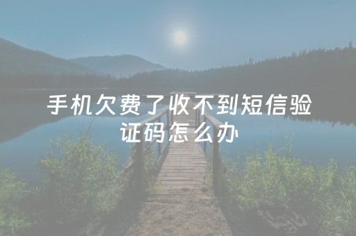 手机欠费了收不到短信验证码怎么办（手机欠费收不到短信验证码吗）