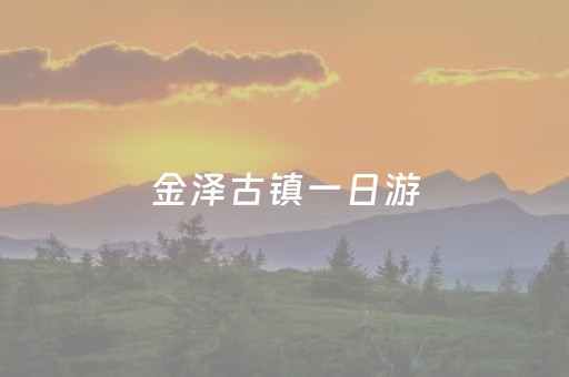 金泽古镇一日游（金泽古镇一日游攻略作文）