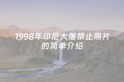 1998年印尼大屠禁止照片的简单介绍
