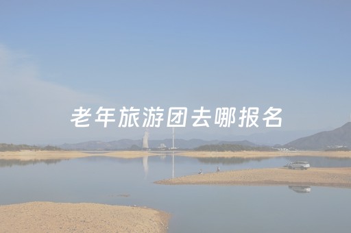 老年旅游团去哪报名（老年旅游团去哪报名呢）
