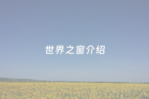 世界之窗介绍（世界之窗介绍稿）
