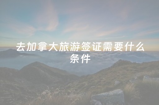去加拿大旅游签证需要什么条件（去加拿大旅游要签证吗）