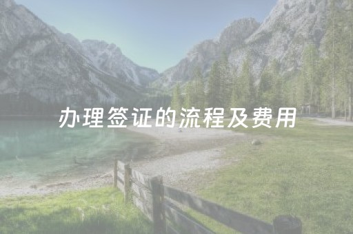 办理签证的流程及费用（办签证的流程）