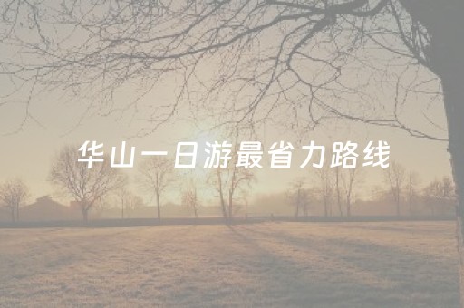 华山一日游最省力路线（华山一日游自由行旅游攻略）