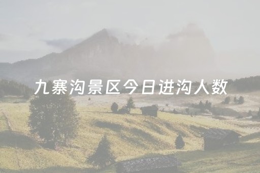 九寨沟景区今日进沟人数（九寨沟景区今日进沟人数统计）