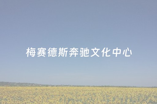 梅赛德斯奔驰文化中心（世博大道1200号梅赛德斯奔驰文化中心）
