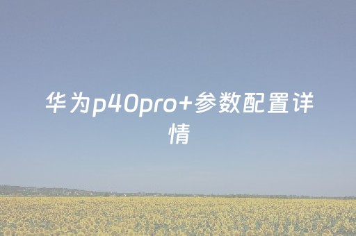 华为p40pro+参数配置详情（华为p40pro配置）