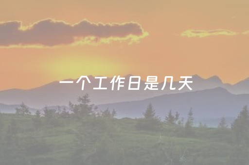 一个工作日是几天（政府部门一个工作日是几天）