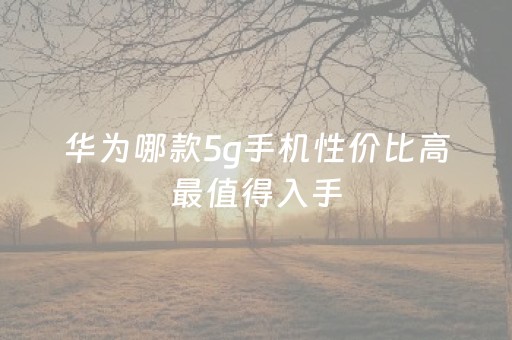 华为哪款5g手机性价比高最值得入手（华为哪一款5g手机性价比高）