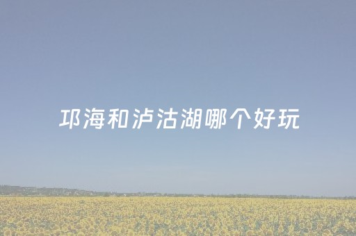 邛海和泸沽湖哪个好玩（邛海和泸沽湖哪个好玩）