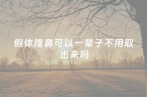 假体隆鼻可以一辈子不用取出来吗（隆鼻的假体可以一辈子不取出来吗）